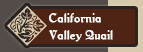 California Valley Quail